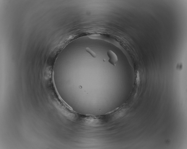 X0000110970284200906191343