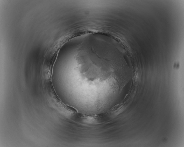 X0000110970285200906191343