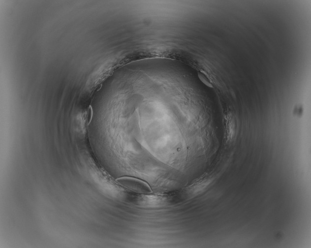 X0000110970286200906191343