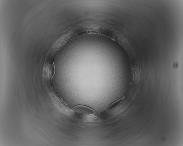 X0000110970287200906191343