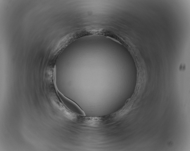 X0000110970288200906191343