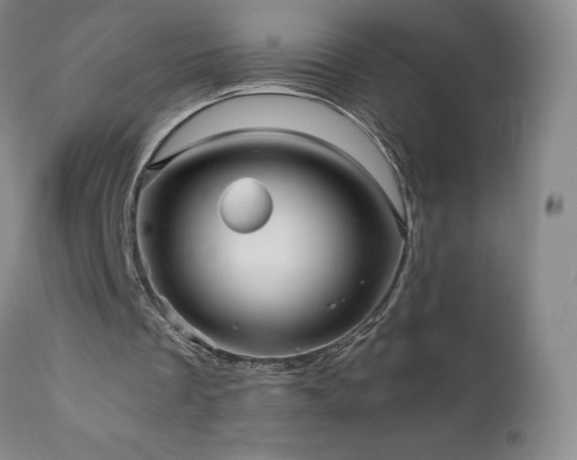 X0000110970289200906191342