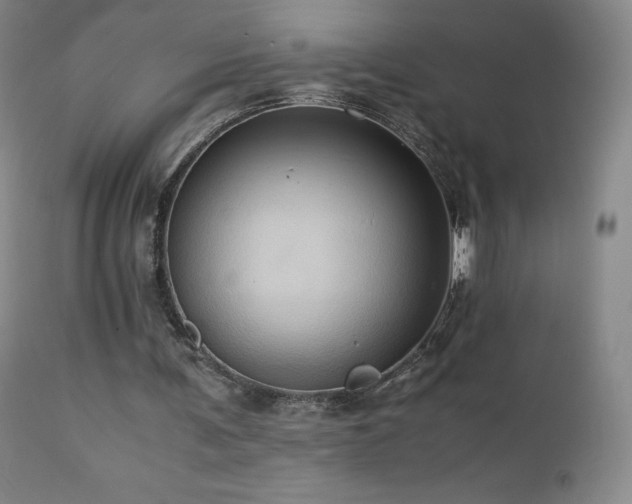 X0000110970291200906191342