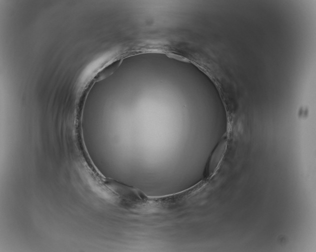 X0000110970293200906191342