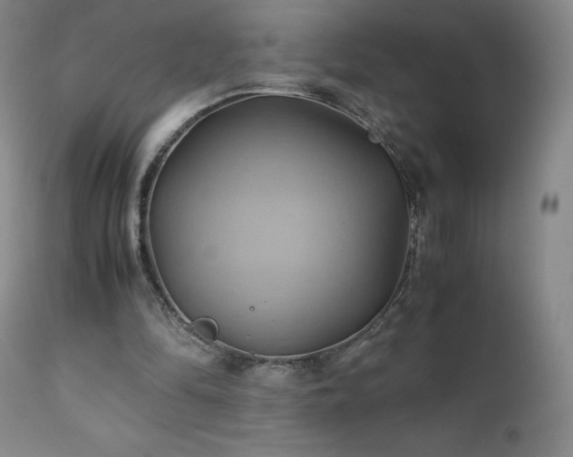 X0000110970294200906191342