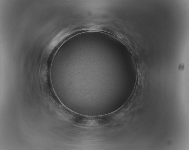 X0000110970295200906191342