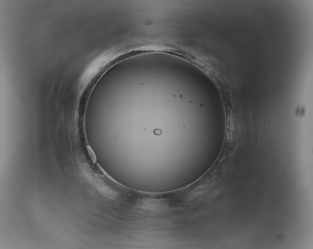 X0000110970296200906191342