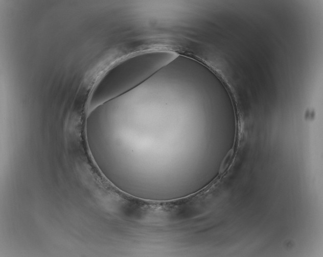 X0000110970297200906191342