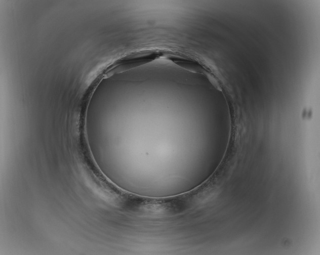 X0000110970299200906191342