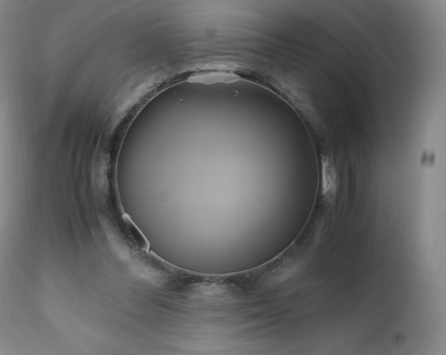 X0000110970300200906191342