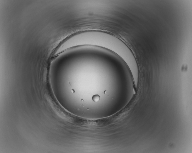 X0000110970301200906191342