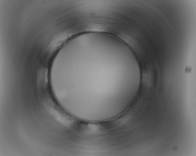 X0000110970302200906191342