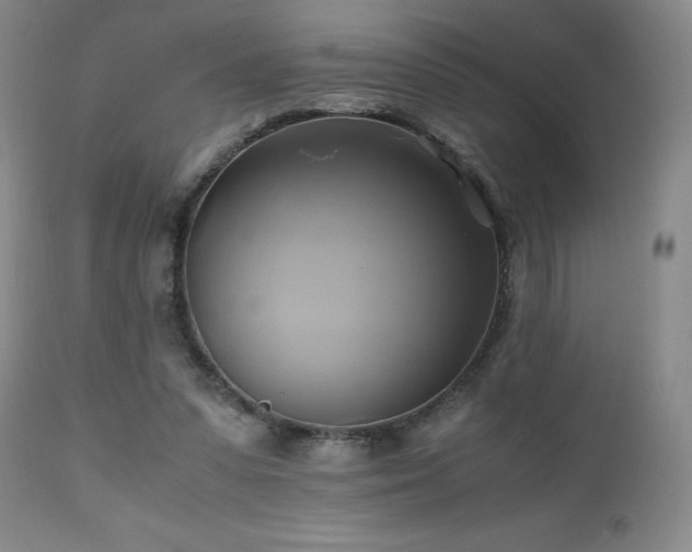 X0000110970303200906191342