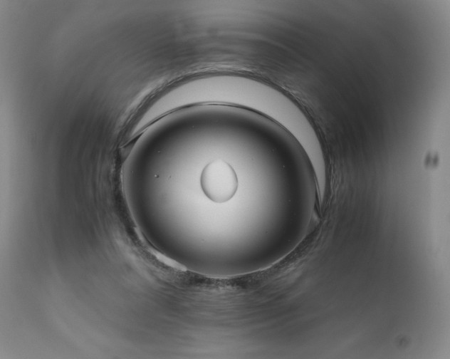 X0000110970304200906191342