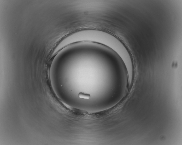 X0000110970305200906191342