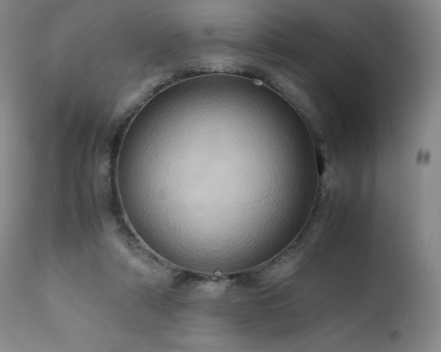 X0000110970306200906191342