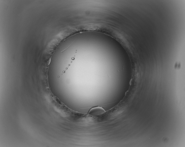 X0000110970307200906191342