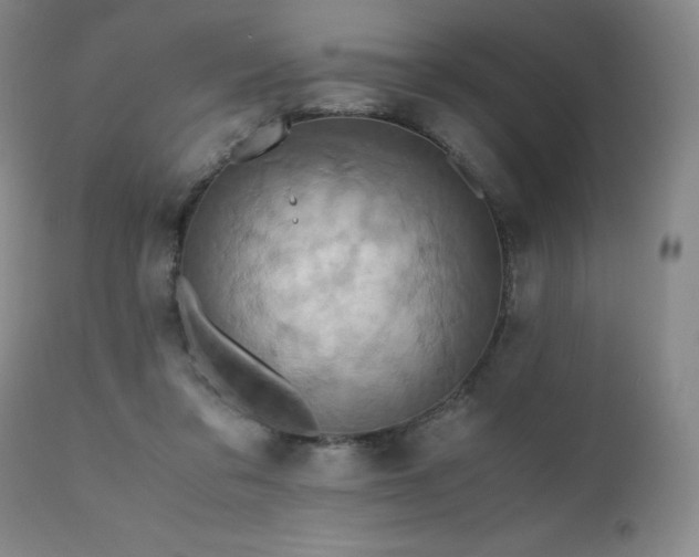 X0000110970309200906191342