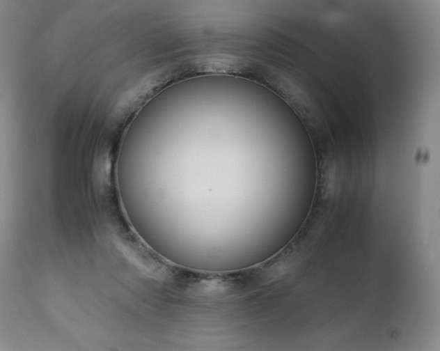 X0000110970310200906191342