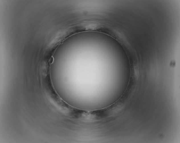 X0000110970311200906191342