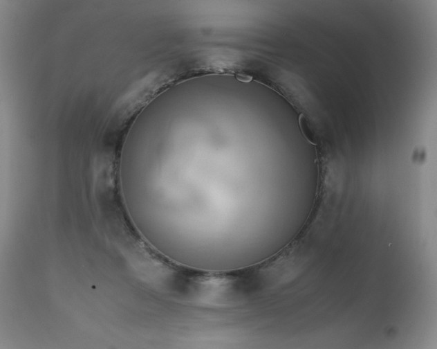 X0000110970313200906191341