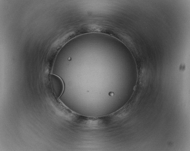 X0000110970314200906191341