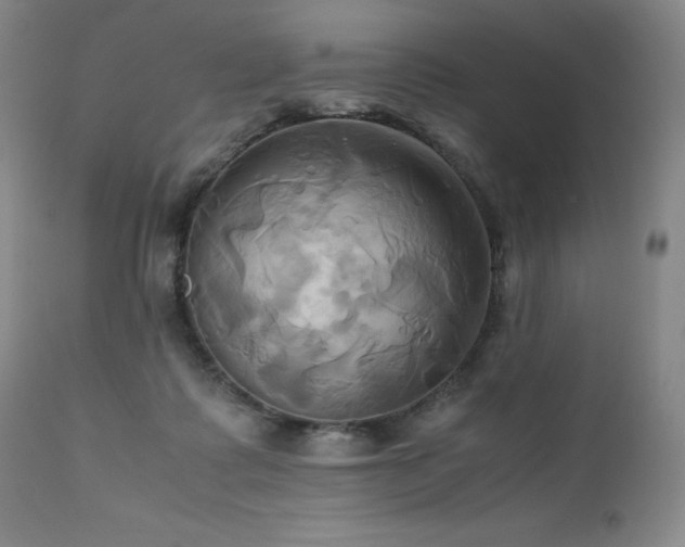 X0000110970315200906191341