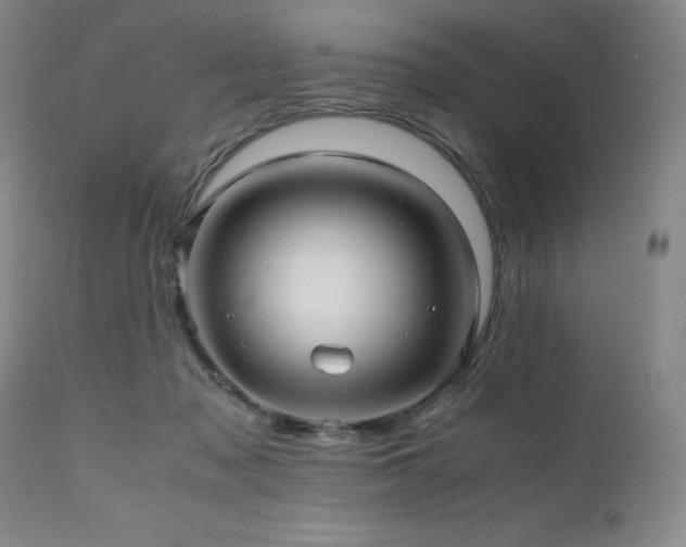 X0000110970317200906191341