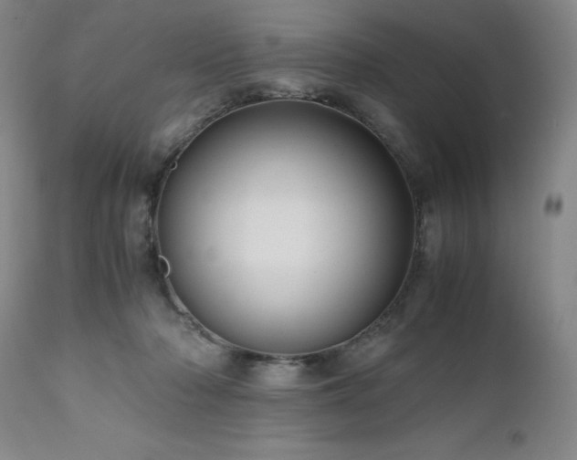 X0000110970318200906191341