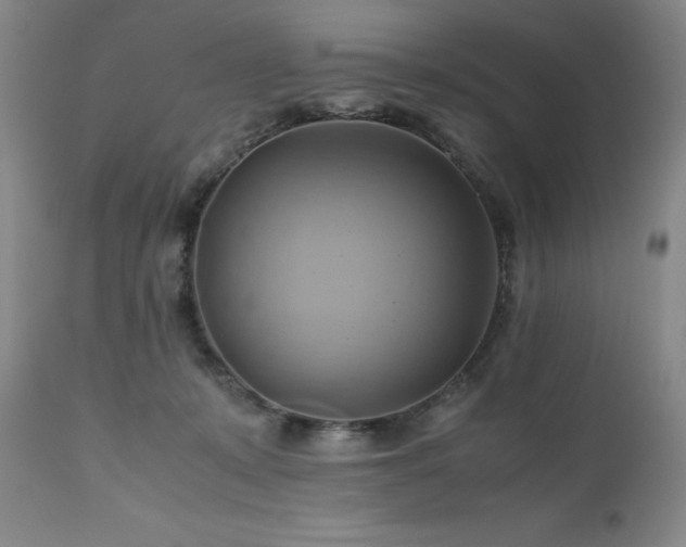 X0000110970319200906191341