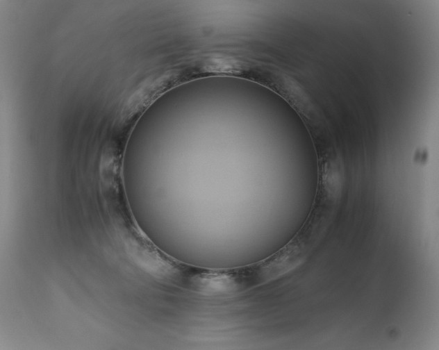 X0000110970322200906191341