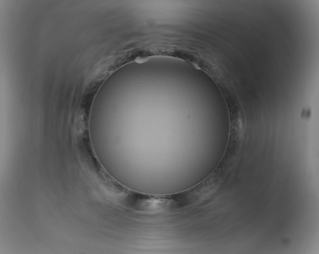 X0000110970323200906191341