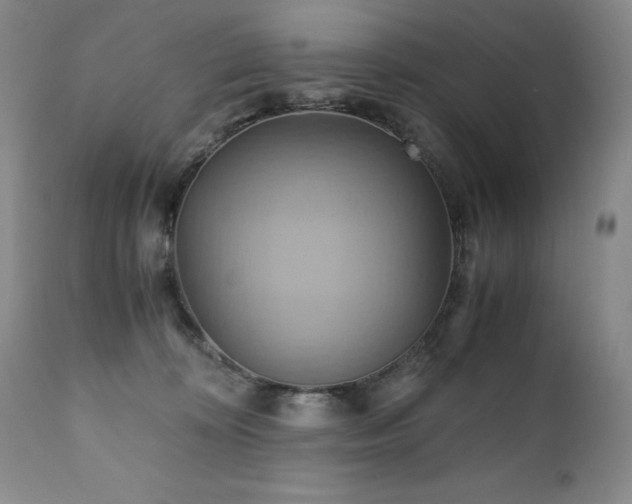 X0000110970324200906191341