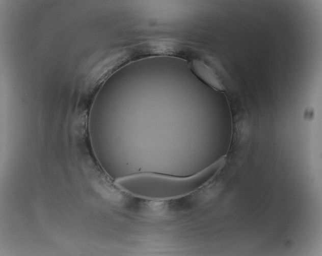 X0000110970325200906191341