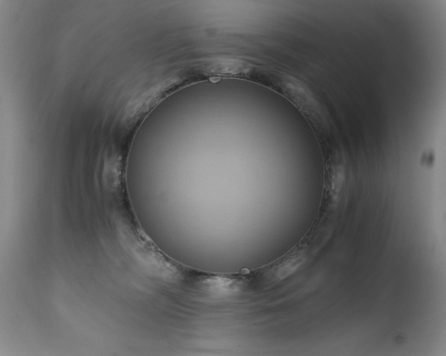 X0000110970326200906191341