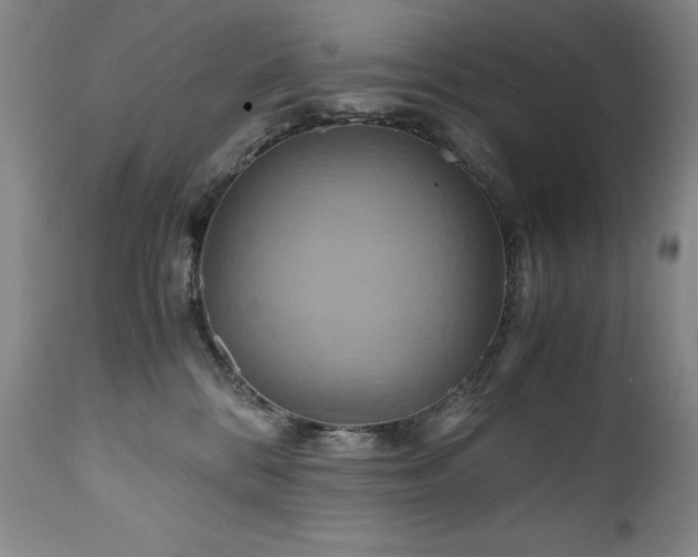 X0000110970328200906191341