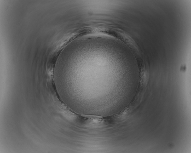 X0000110970329200906191341