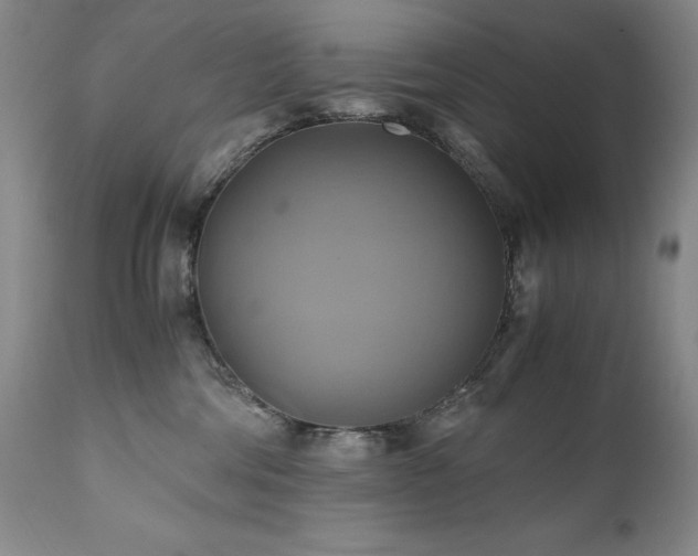 X0000110970330200906191341