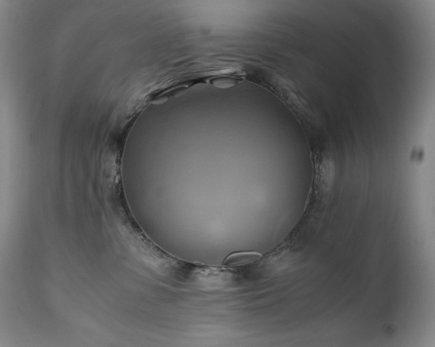 X0000110970331200906191341