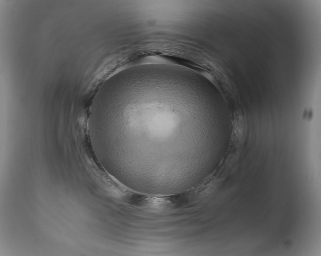 X0000110970333200906191341