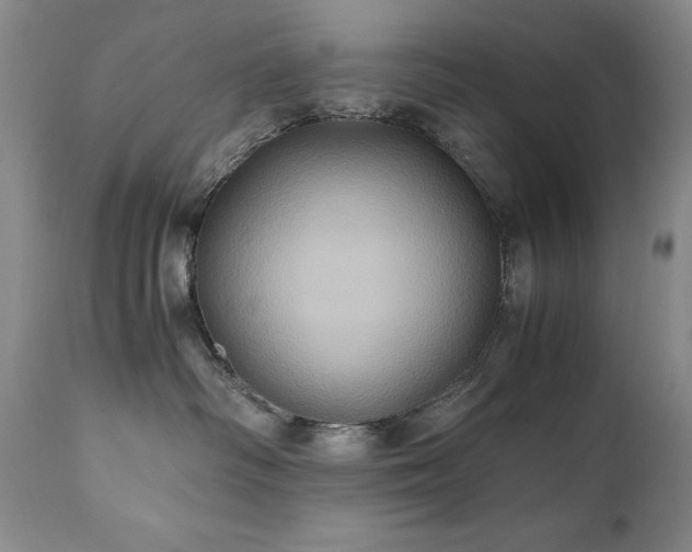 X0000110970334200906191341