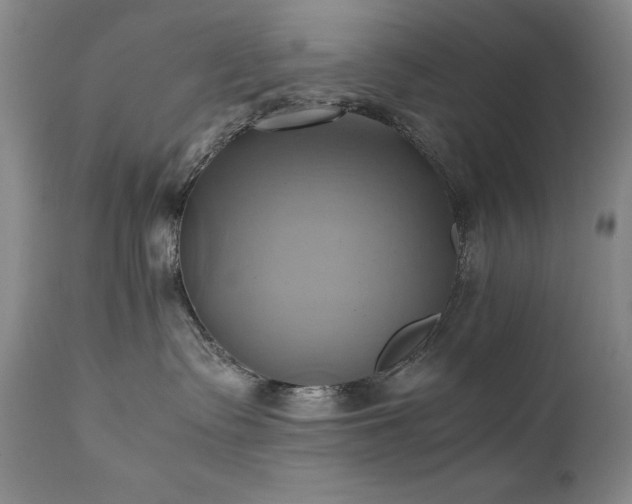 X0000110970335200906191341