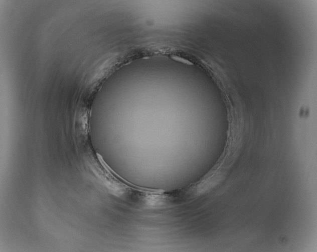 X0000110970336200906191341