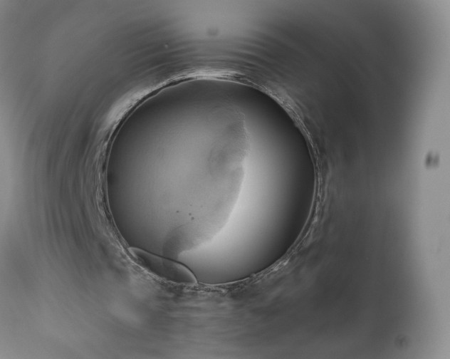 X0000110970337200906191341