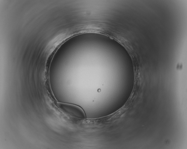 X0000110970338200906191341