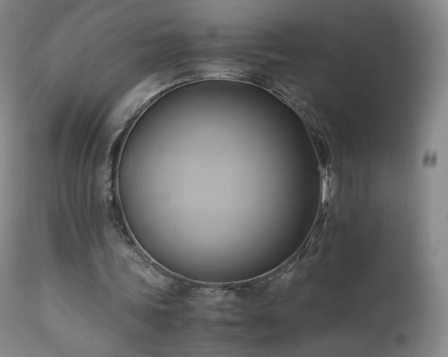 X0000110970339200906191341