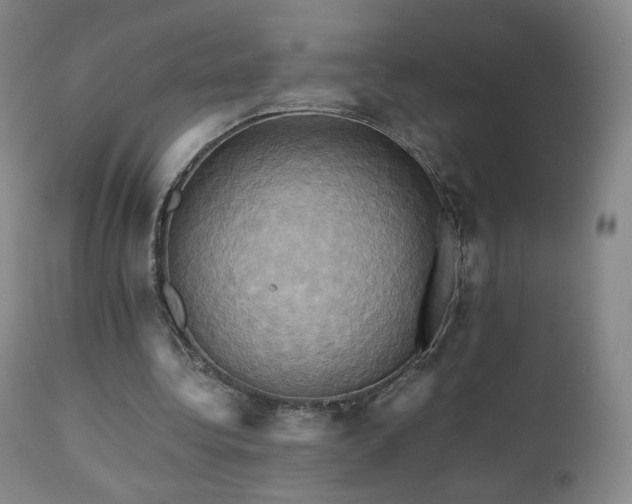 X0000110970340200906191341