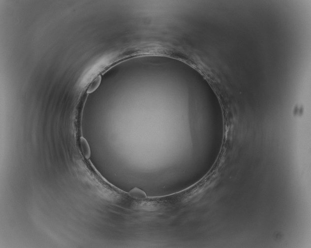 X0000110970341200906191341