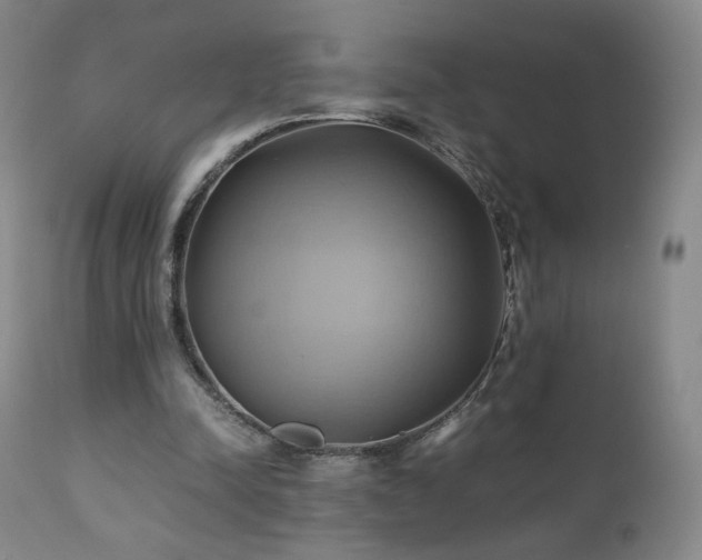 X0000110970342200906191341