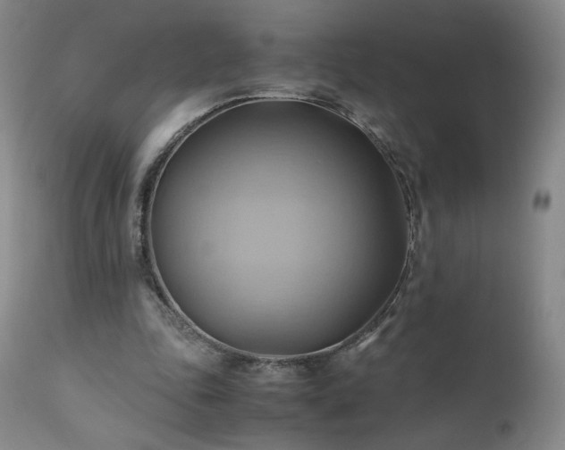 X0000110970343200906191341